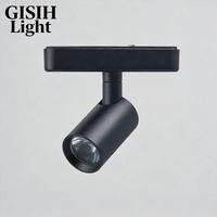 Spot LED magnétique à faisceau étroit pour économie d'énergie, idéal pour l'éclairage de vitrines de musées et de bijouteries