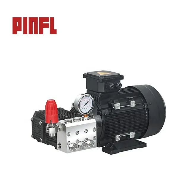 Pinfl Rvs Triplex Plunjerpomp Met Motor Voor Ontzilting Plant 100bar 30Lpm