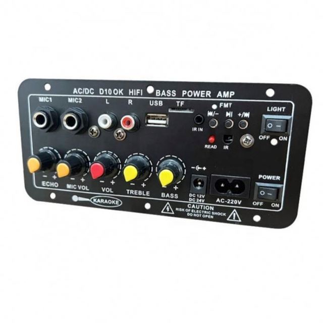 Ruised factory Stock Subwoofer Digital Amplifier Board Dual Microphone Karaoke Amplifier Reverb 12V 24V 220V For 8-12 Inch Speak