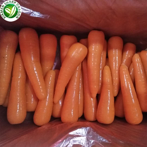 <span class=keywords><strong>Prix</strong></span> <span class=keywords><strong>de</strong></span> gros pour l'exportation <span class=keywords><strong>de</strong></span> carottes surgelées IQF biologiques - Product Image 6