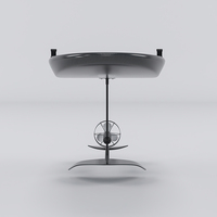 Planche de surf électrique hydrofoil en fibre de carbone, légère, motorisée, avec batterie haute capacité pour les professionnels