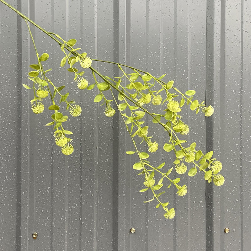 Ding ding guo-vert clair