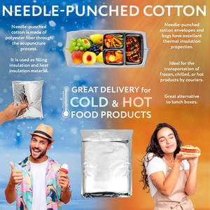 Bolsas Térmicas Aislantes para Medicamentos, Alimentos y <span class=keywords><strong>Farmacia</strong></span>, con Logotipo Personalizado, Impresas, Duraderas, Resistentes al Calor y Frío, Autosellables, Impermeables y Metálicas - Product Image 4