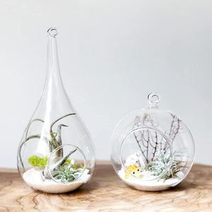 Plante suspendue en verre, support pour fougère aérienne, terrarium, vase suspendu, décoration de Noël pour <span class=keywords><strong>la</strong></span> maison, idée cadeau, écologique - Product Image 1