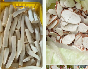 Manioc extérieur d'enlèvement de peau/machine de nettoyage - Product Image 2