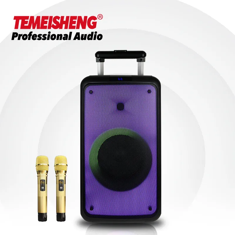 Fabrika özel 12 inç aktif amplifikatör stereo ses taşınabilir FM radyo BT kablosuz açık PRO ses karaoke arabası hoparlör