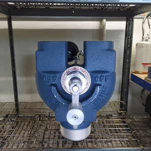 REGO 8542G 2 pollici DuoPort valvola limitatrice <span class=keywords><strong>di</strong></span> pressione collettori per piccoli contenitori valvola <span class=keywords><strong>di</strong></span> <span class=keywords><strong>sicurezza</strong></span> 250psi - Product Image 6