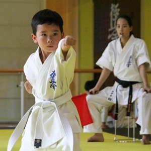Uniforme de karaté durable et personnalisable, vêtements de sport de karaté Kyokushin pour adultes et enfants, costume d'arts martiaux avec marque OEM - Product Image 4