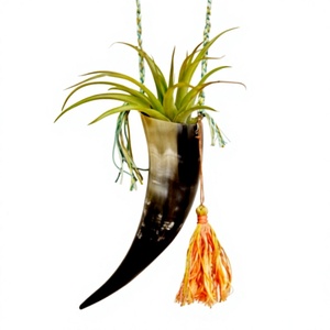 Porta Macetas Hecho a Mano con Cuerno de Búfalo, Recipiente Decorativo Rústico de Artesanía Natural para Decoración del Hogar - Product Image 1