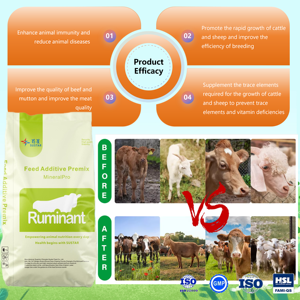 Ruminanti additivi per mangimi animali premiscelato per animali di capra ovini da ingrasso additivo per mangimi per animali premiscele da ingrasso per bovini e ovini - Product Image 3