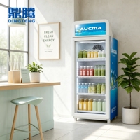 Kulkas Tegak Komersial 65L Pendingin Minuman Kompak dengan Rak yang Dapat Disesuaikan Kelas Iklim ST Display Case