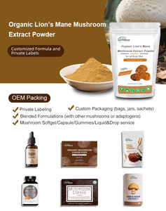 有機Hericium Erinaceusエキス | 水溶性ライオンのたてがみパウダー | USDA/EU認定 | 脳と神経の健康 - Product Image 3