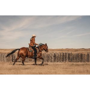 Harnais de cheval en cuir véritable avec boucle d'oreille fendue pour chevaux - Product Image 6