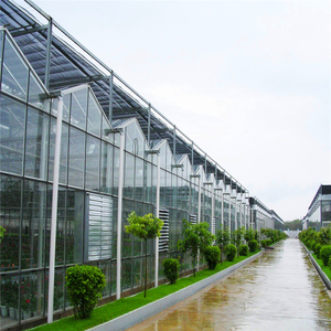 Invernadero Económico de Acero Galvanizado en Caliente de Gran Tamaño y Múltiples Tramos con Vidrio Templado para <span class=keywords><strong>Agricultura</strong></span> Hidropónica - Product Image 1
