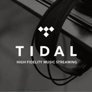 เพลงคลื่นระดับพรีเมียม12เดือนการสมัครใช้งานคลื่น Tidal HIFI PLUS 1ปี - Product Image 2