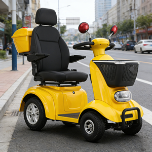 Affordable New Design Electric /Four-Wheeler Scooter /Brushless Permanent Magnet Motor /500W Spirite-2 - Product Image 1