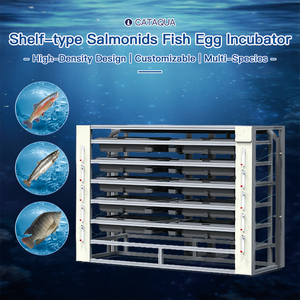 Incubateur automatique robuste pour œufs de poisson, équipement d'aquaculture avec système <span class=keywords><strong>RAS</strong></span> pour le tilapia et le poisson-chat, taux d'éclosion élevé - Product Image 1