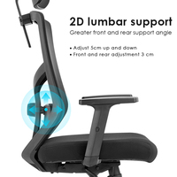 Chaise de bureau ergonomique en mesh, échantillon gratuit, chaise pivotante confortable pour ordinateur, mobilier de bureau à domicile.