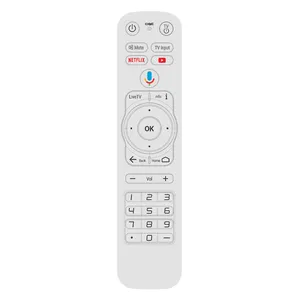 Factory OEM Custom 30 key 2.4G Bluetooth speak Android smart TV remote control