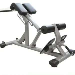 Roman Chair Roman Stool Fitness Chair Professional Goat Stand Up Waist Abdominal Muscle Back Muscle Trainer