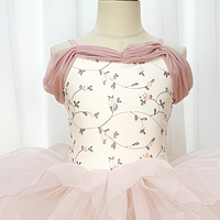 Robe de tutu de ballet pour filles, corsage brodé, épaules dénudées, jupe en organza multicouche, costume de spectacle de danse