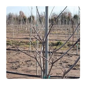 Estacas de Fibra de Vidrio Resistentes a la Oxidación, Estacas para Plantas de Fibra de Vidrio, Estacas de Jardín de Fibra de Vidrio - Product Image 1