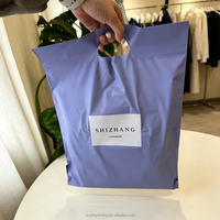 Sac d'expédition portable coloré avec poignée, sac de transport pour vêtements, sac de colisage pour le commerce électronique, emballage de colis pour vêtements