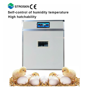 حاضنة بيض أوتوماتيكية ذكية تجارية كبيرة السعة لـ 880 بيضة - Product Image 2