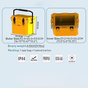 Nevera Portátil Aislada de 9.5L para Alimentos, Cerveza, Playa, Camping, Picnic, con Asa, para Vacunas, Plástico, Precio Bajo en Promoción - Product Image 4