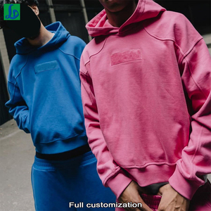 High Quality Custom logo Unisex Heavy Weight Cotton 500 600gsm Solid Plain Blank Hoodie Sweatshirt for Men