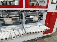 HSLJ-500x2S automatique à grande vitesse 2 lignes de sac de fruits de vent de noyau de papier sur le petit pain faisant la machine