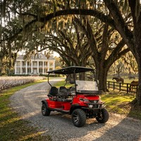 Scooter Eléctrico de Golf de 4 Ruedas, Vehículo Todoterreno para Caza, Carrito de Golf Eléctrico en Venta