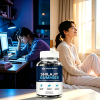 Gummies de Shilajit Antioxydantes pour Adultes : Force Musculaire, Cœur, Cerveau, Énergie Matinale, Soutien Contre la Somnolence de l'Après-midi, Immunité (Hommes et Femmes)