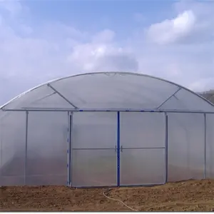 Niedrige Kosten 8x30m Landwirtschaft Kunststoff folie Poly Tunnel Gewächshaus Single Span Gewächs häuser