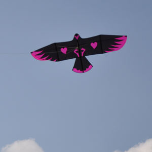 2025 nouveaux modèles de <span class=keywords><strong>cerf</strong></span>-<span class=keywords><strong>volant</strong></span> aigle en forme de coeur de 2 et 3 mètres Breeze Good Fly dynamique pour les adultes et les enfants - Product Image 5
