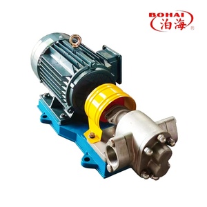 <b>Pump</b> KCB Gear Rust-Free Stainless Steel Steady Displacement Dry-Running Safe for Biofuel Industry - Product Image 3