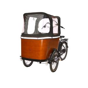 Vélo cargo électrique à trois roues, normes européennes, très vendu, modèle hollandais, pour famille, remorque, tricycle électrique, tricycle électrique urbain - Product Image 2