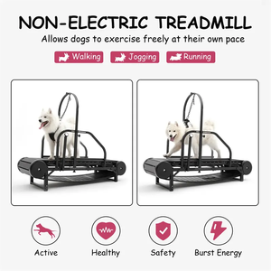 Lynpet Powerful Indoor &amp; Outdoor <strong>Dog</strong> <strong>Treadmill</strong> Walking Machine Wholesale Big Pet <strong>Slatmill</strong>; Pet Training Supplies - Product Image 4