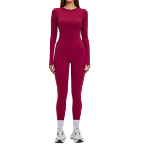 Conjunto de Yoga Cross Border para Mujer, Cintura Alta, Cuello Redondo, Manga Larga, Sin Costuras, Deportivo, Informal, para Fitness, 8519 - Product Image 1