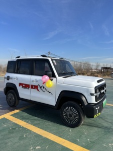Vehículo Eléctrico de Cuatro Ruedas Yuanqida con Batería de Litio, Homologado por EEC y <span class=keywords><strong>DOT</strong></span>, Legal para Circular en la Calle, de Baja Velocidad, para Europa y EE. UU. - Product Image 5