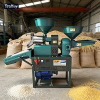 Nouvelle version améliorée de la machine automatique de déstonage et de polissage du riz avec moteur 4KW pour les petites entreprises de décorticage de riz