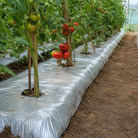 Film de paillage réfléchissant argenté noir en LDPE, rouleau de couverture de sol en plastique pour le contrôle des mauvaises herbes et la protection de l'humidité du sol