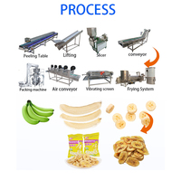Prix d'usine 100-300 KG Ligne de production de puces banane plantain Les ingénieurs viennent installer