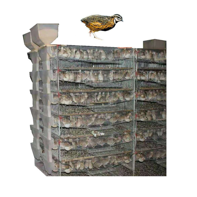Galvanized Steel Animal Cage Cage of