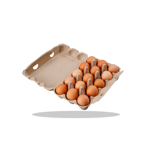 High Quality  Eco-friendly Pulp Egg Cartons Recyclable Paper Eggs Box Biodegradable Paper Egg Tray
