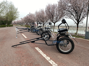 Carro de Carreras de Caballos Eléctrico Clásico con Estructura de Acero Q235B para Uso en Maratones, Exportado a Baréin - ¡Oferta! - Product Image 6