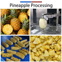 4-in-1 Ananas Schil-, Ontpit-, Top-, Staart- en Snijmachine met Rotatiesnijder en Continue Ventilator - Ananas Verwerkingslijn