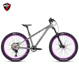 Bicicleta de Montaña Triton GTR para Dirt Jump, Horquilla Neumática, 12 Velocidades, Cuadro de Aluminio, Rueda de 27.5'', 150mm ZXC-309 - Product Image 4