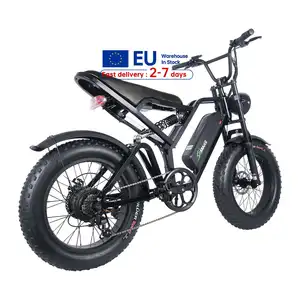 Upgrade Fat Tire Mountain Off-road Ebike Sport Electric E Bike City bicicletta elettrica 1000W 750W 250W E-bike Fatbike Europa