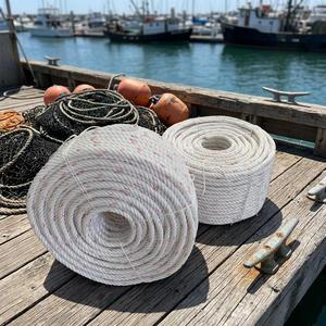 Cordes Danline en polypropylène de haute qualité usine indienne 4mm-32mm tailles 3 4 brins Structure torsadée faite en Nylon PE Marine Shipping - Product Image 1